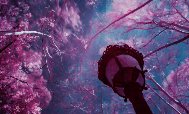Speculative Fiction – a new approach to genre and subgenres
